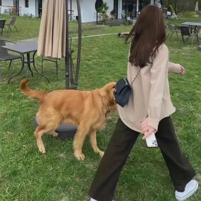 盖世霸王